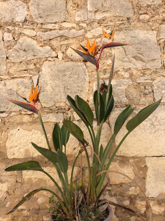 Camemi Case Di Cutalia - Villa Cutalia מראה חיצוני תמונה